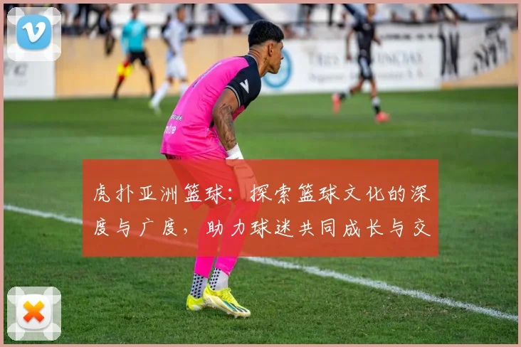 虎扑亚洲篮球：探索篮球文化的深度与广度，助力球迷共同成长与交流