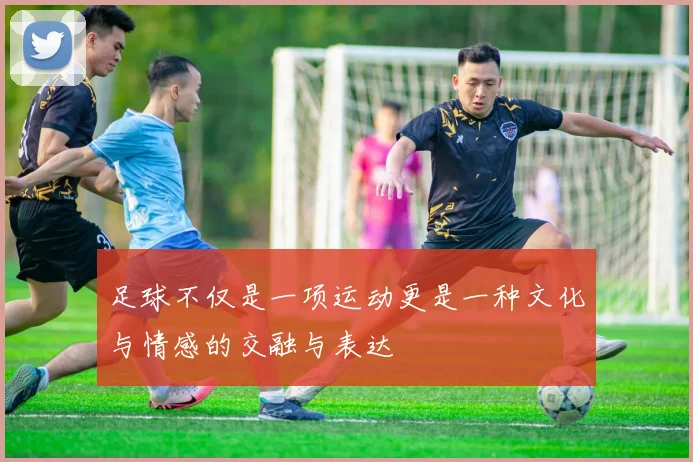 足球不仅是一项运动更是一种文化与情感的交融与表达